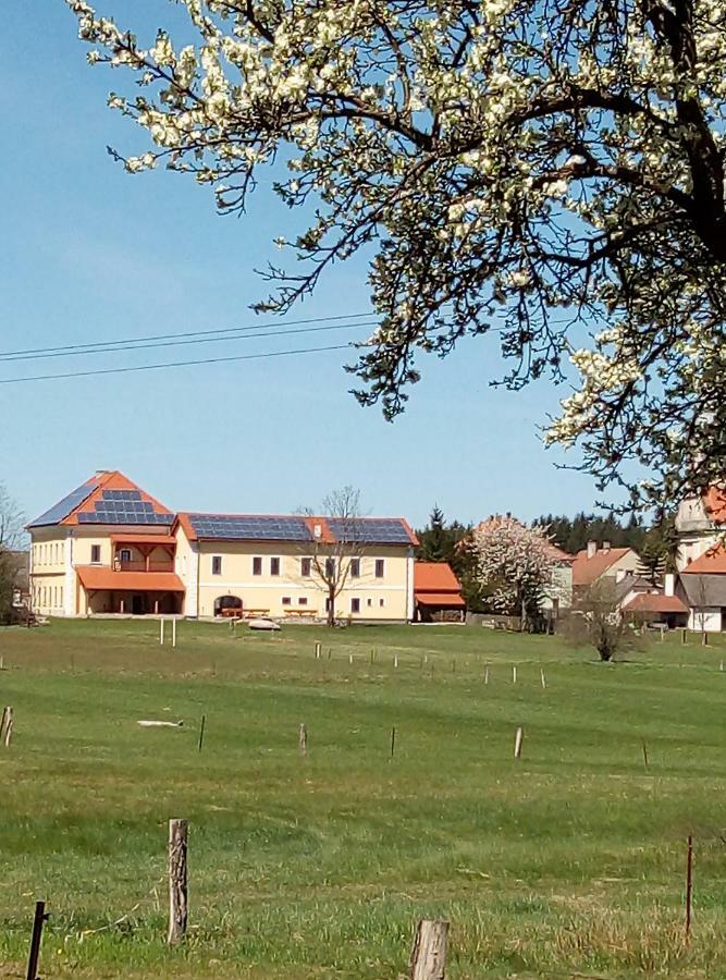 Penzion Hurky Nova Bystrice Exterior photo